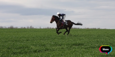 Aspiring Jockey gallops towards his dream job.