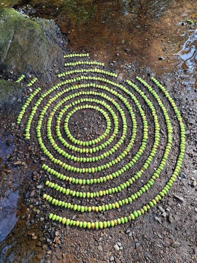 Meee Moments #76 &ndash; All Change!