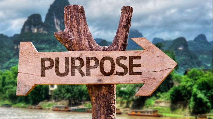 Finding A Purpose
